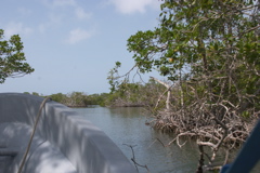 CRW_8214